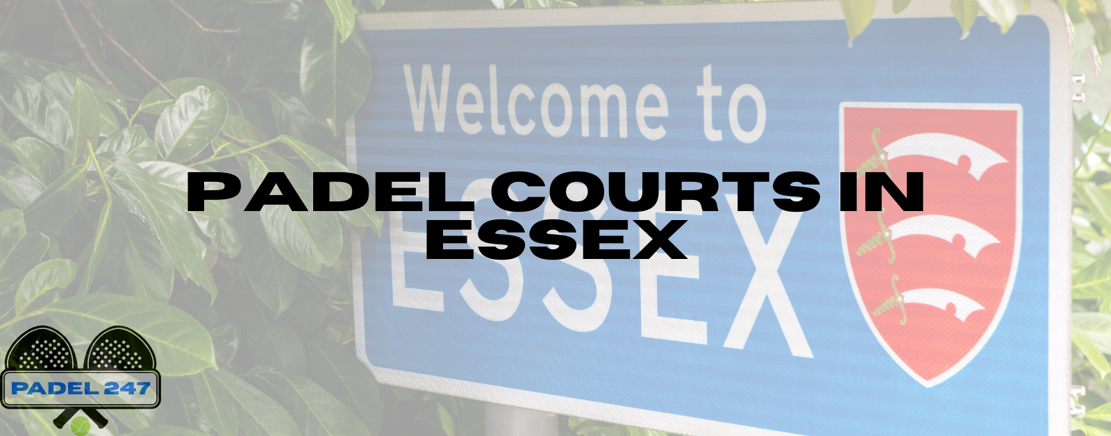 You are currently viewing Padel Courts in Essex