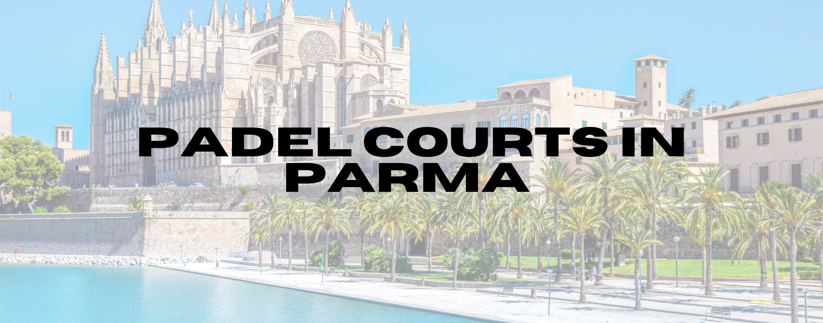 You are currently viewing Padel Courts in Palma